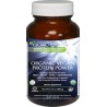 Organic Vegan Protein Power